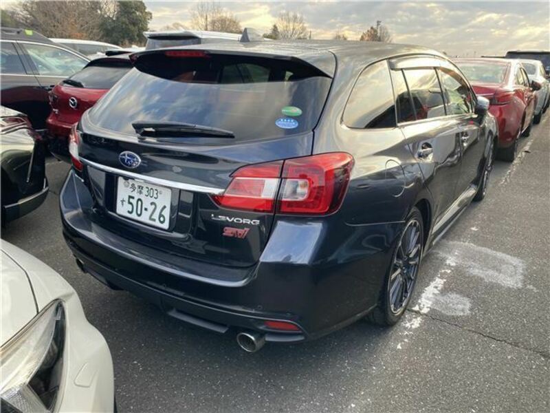 LEVORG