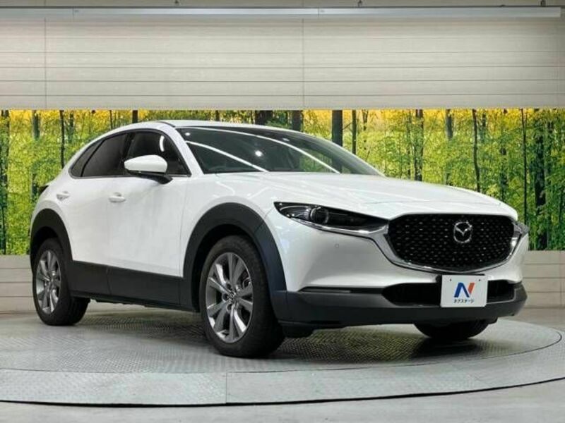 CX-30