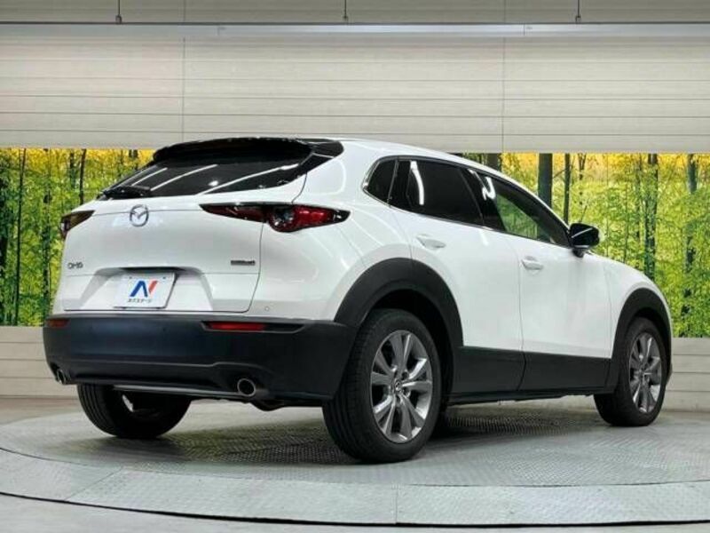 CX-30