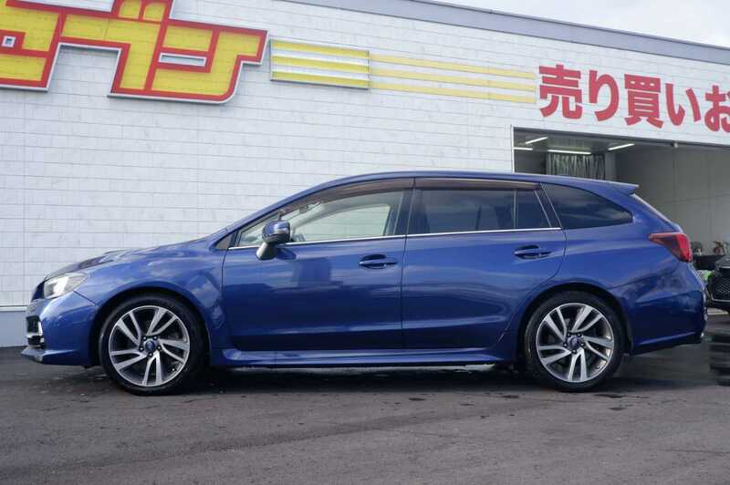 LEVORG