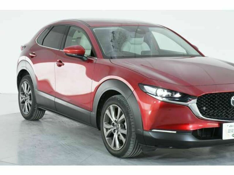 CX-30