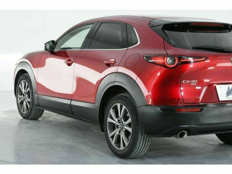 CX-30