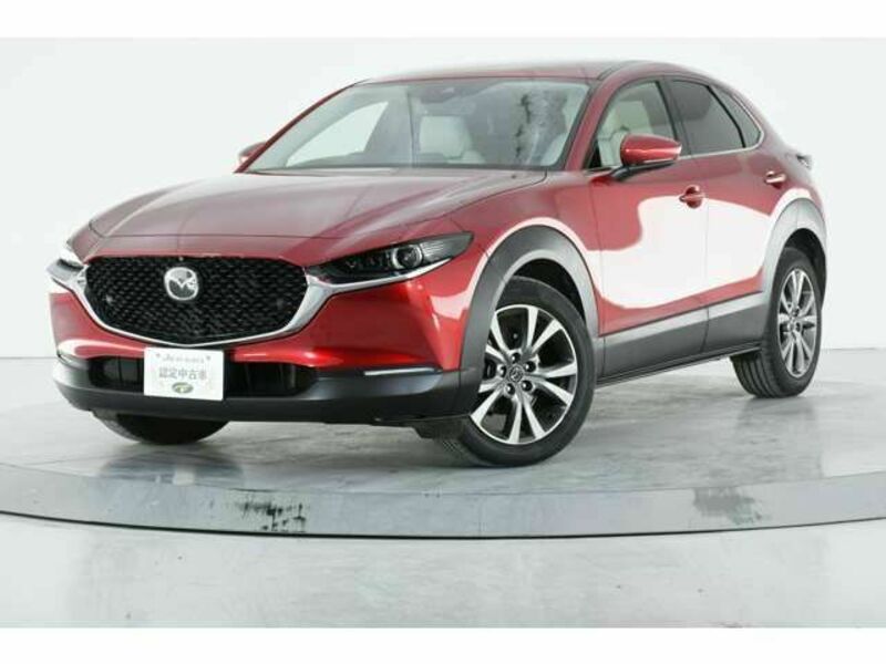 CX-30