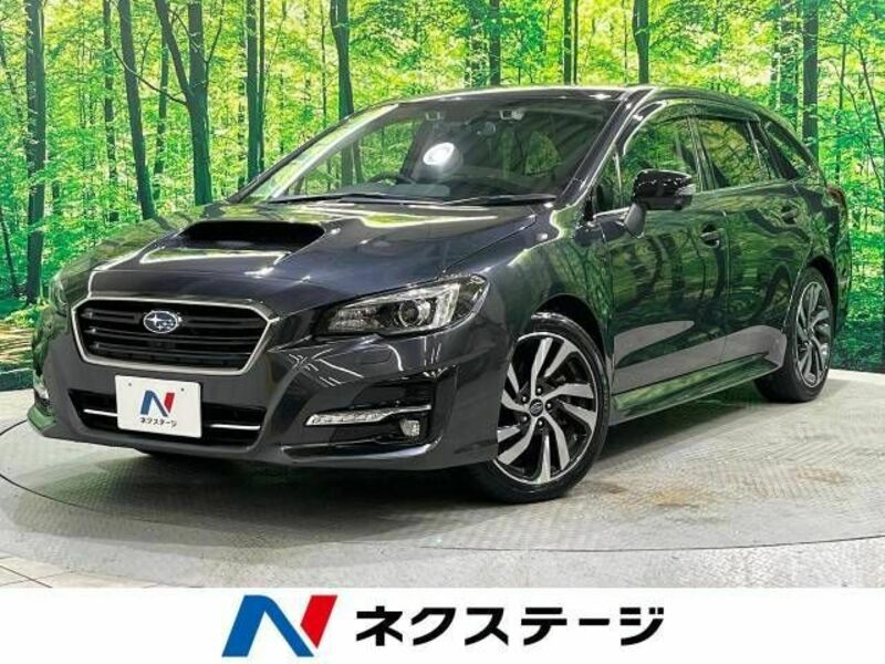 LEVORG-0