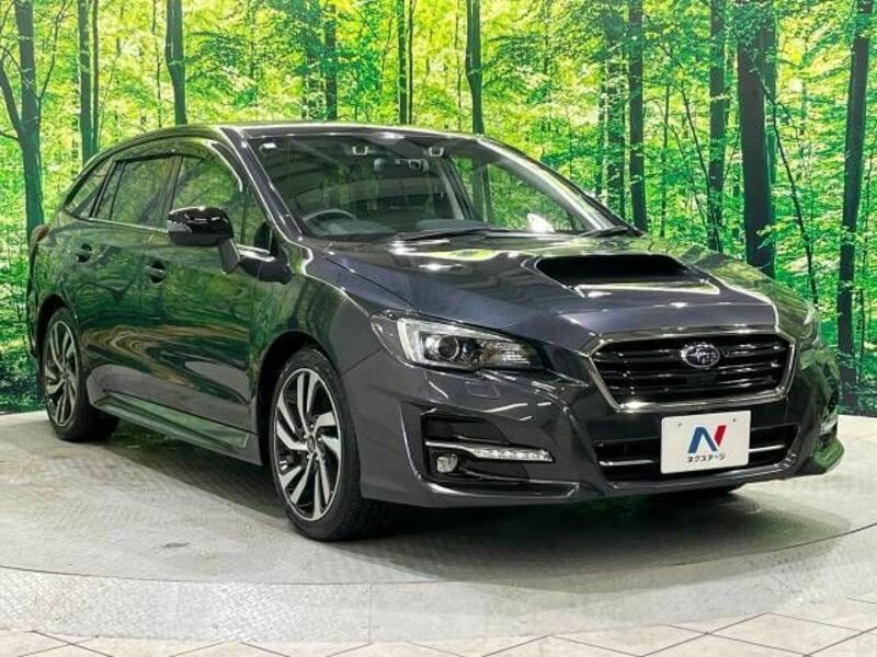 LEVORG