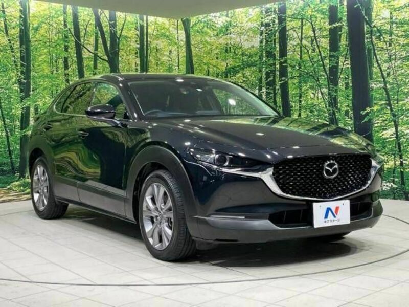 CX-30