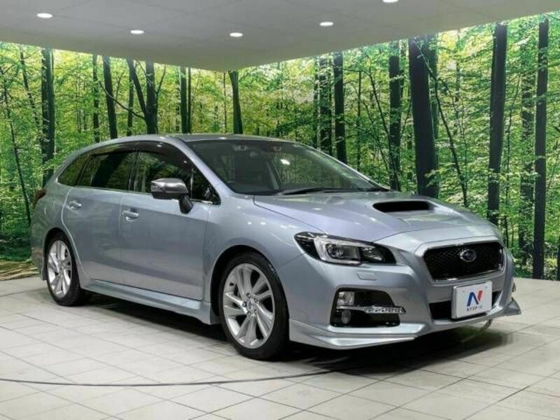 LEVORG