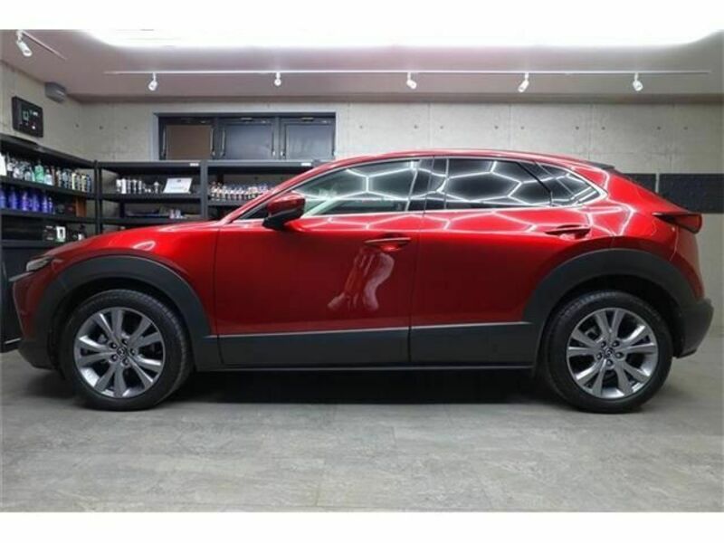 CX-30