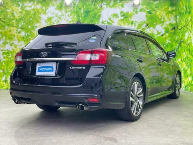 LEVORG