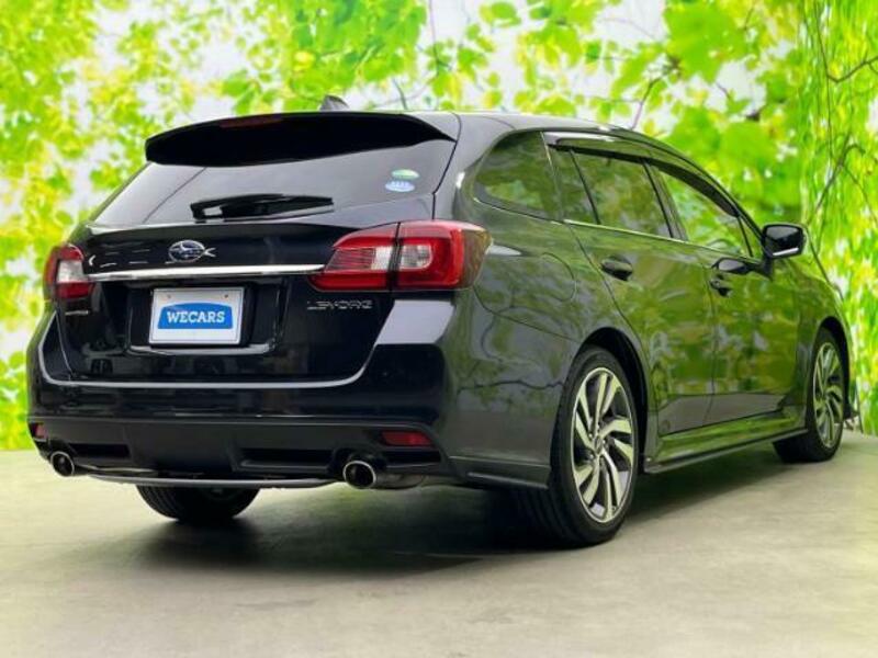 LEVORG