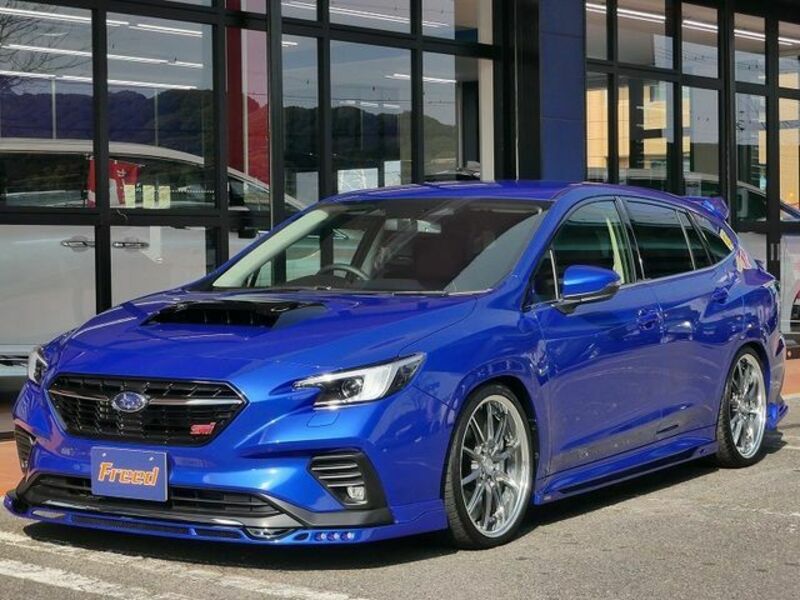 LEVORG-0