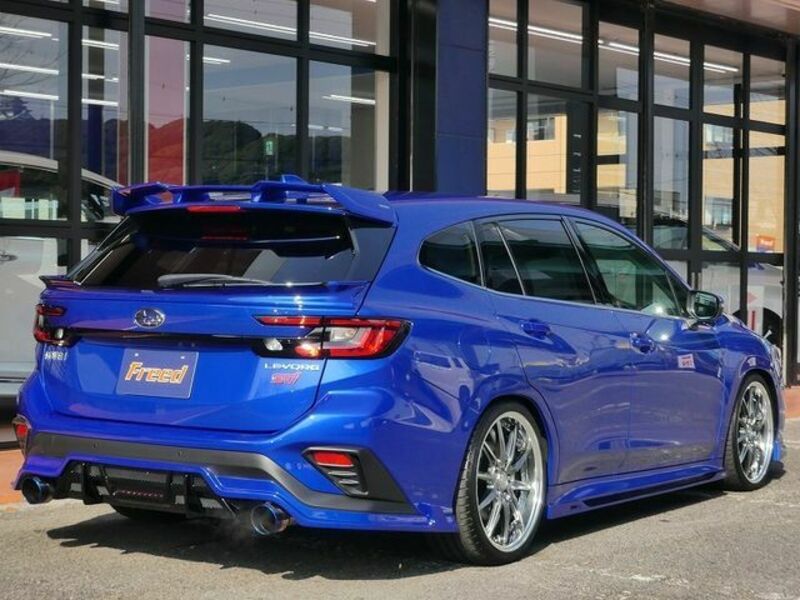 LEVORG