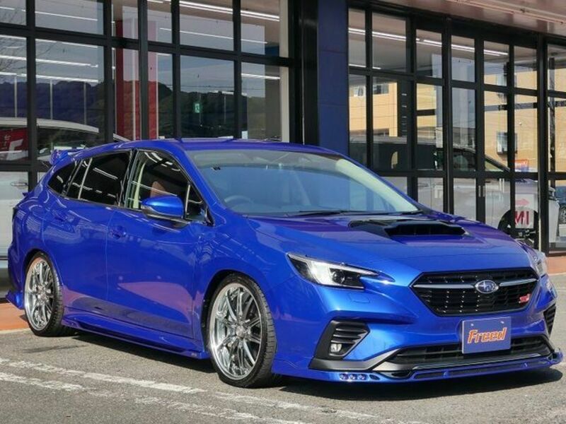 LEVORG