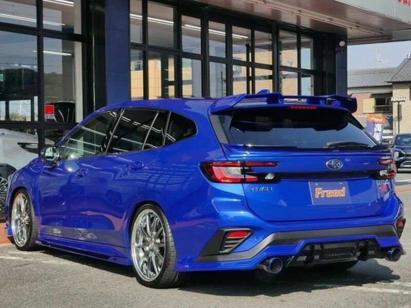 LEVORG