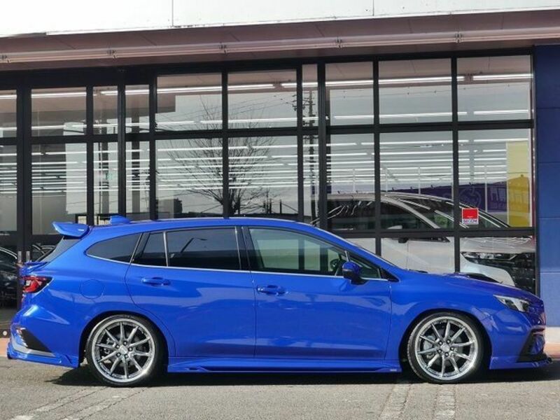 LEVORG