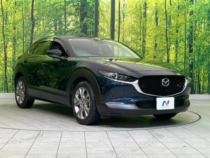 CX-30