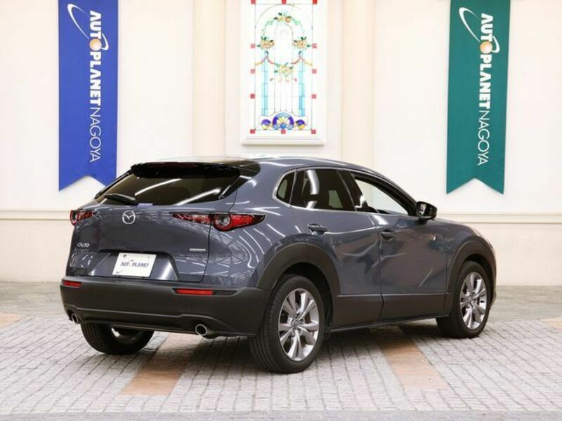 CX-30