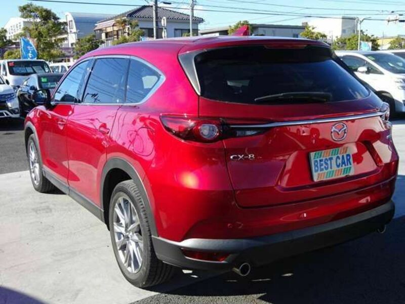 CX-8