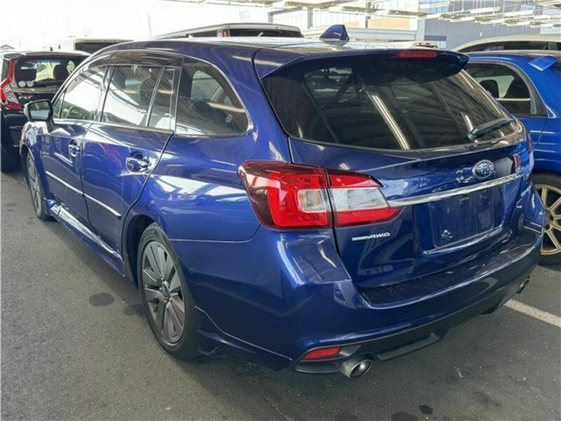 LEVORG