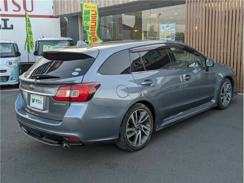 LEVORG