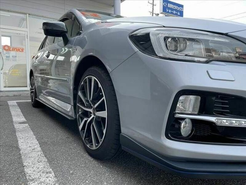 LEVORG