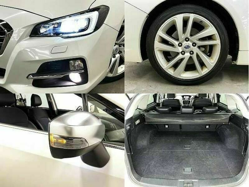 LEVORG