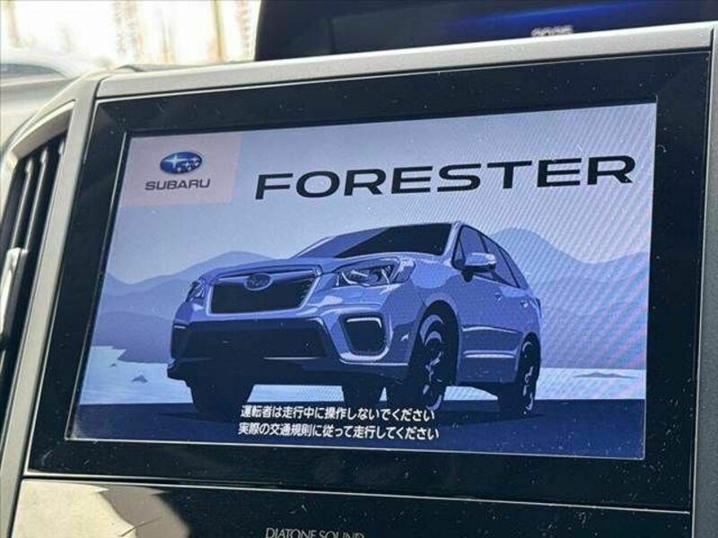 FORESTER