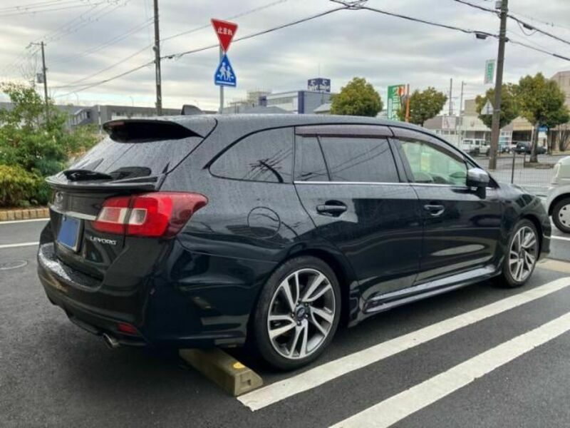 LEVORG