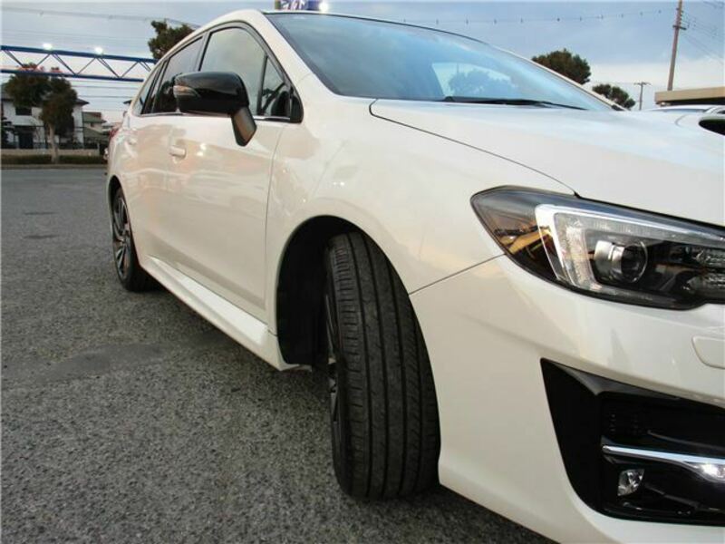 LEVORG