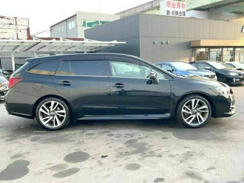 LEVORG