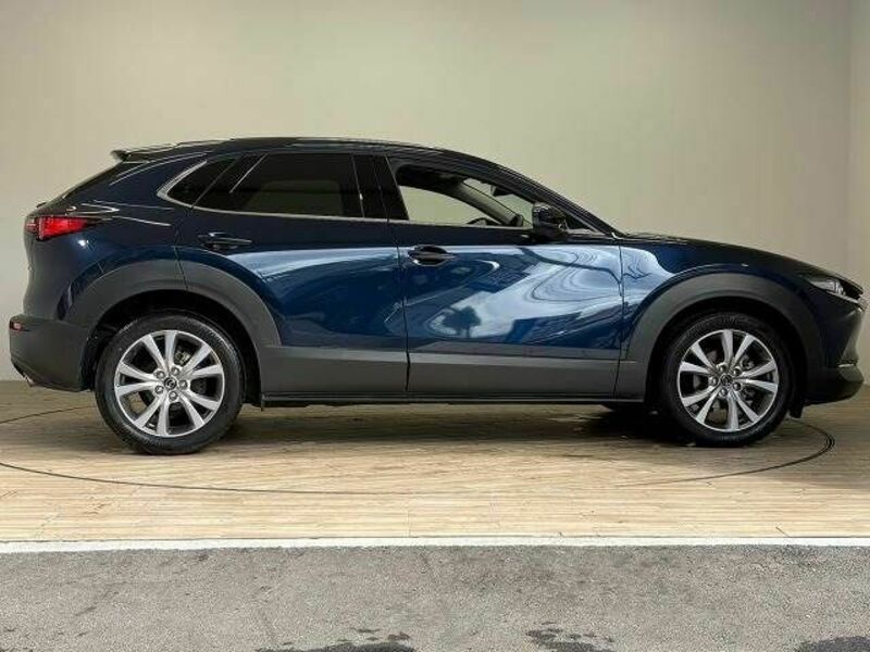 CX-30