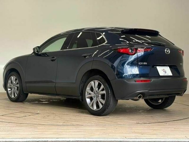 CX-30