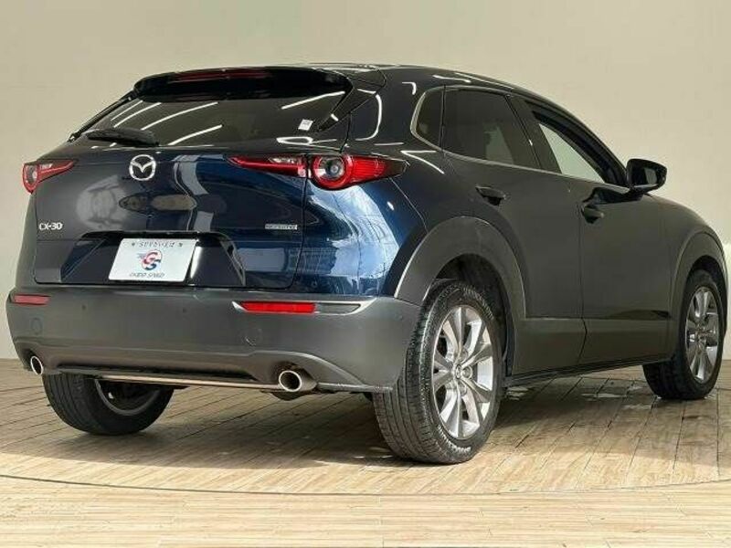 CX-30