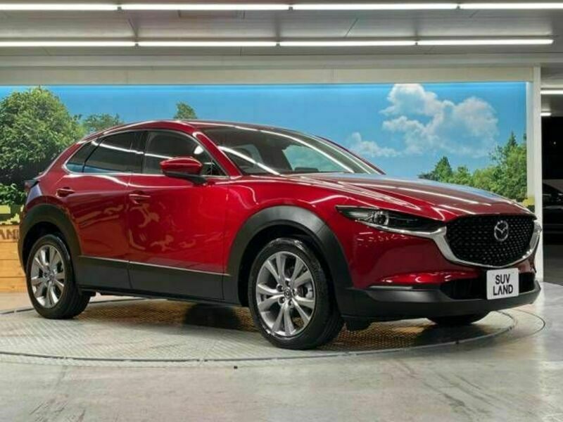 CX-30