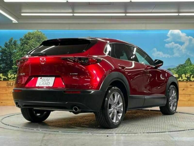 CX-30