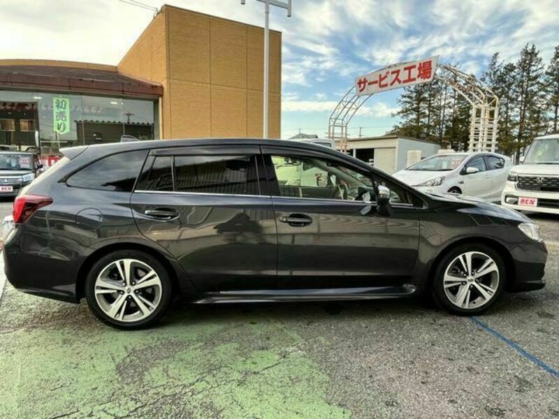 LEVORG