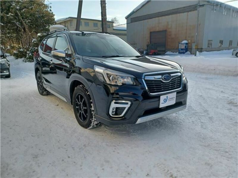 FORESTER