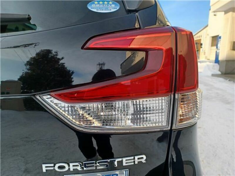 FORESTER