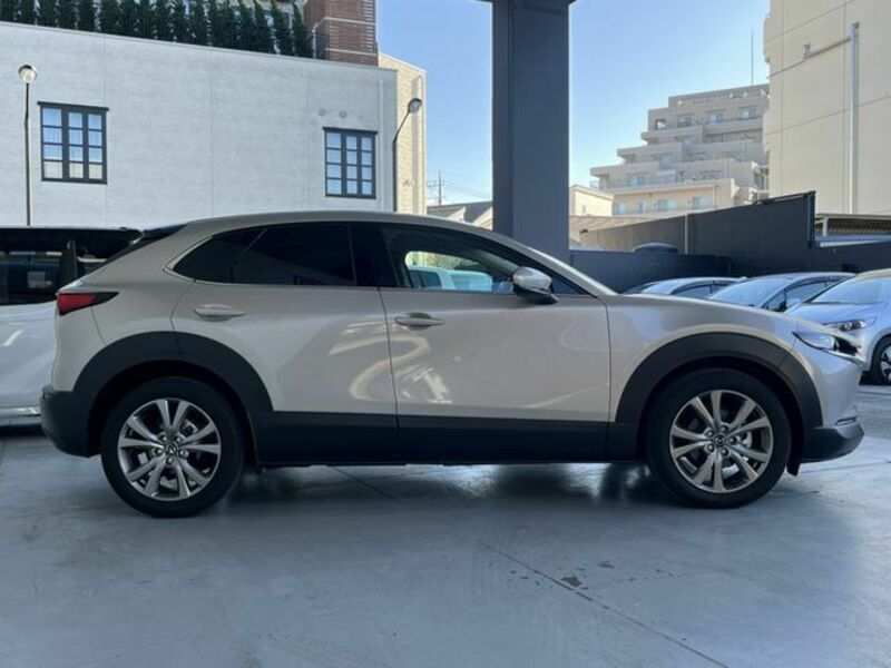 CX-30