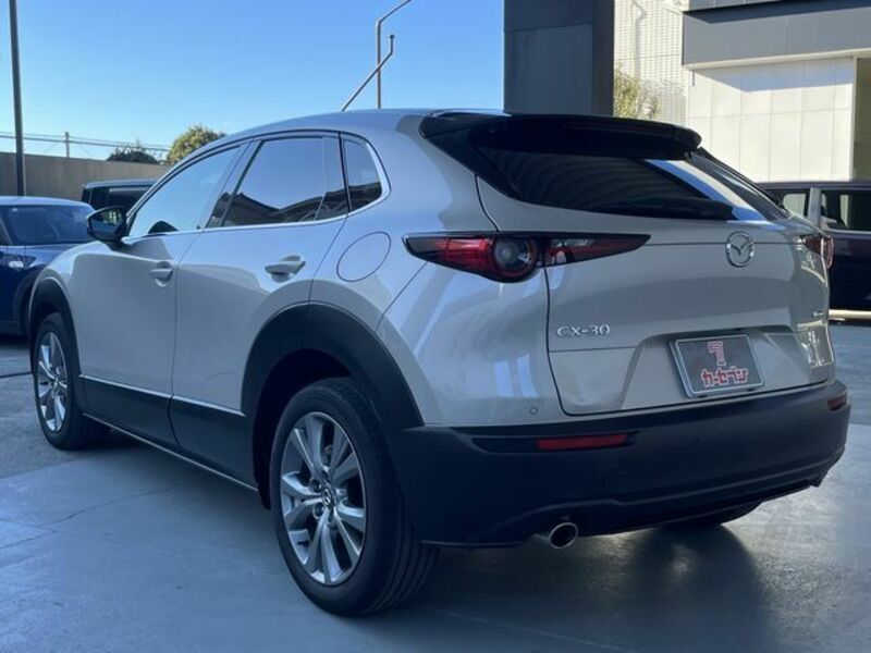 CX-30