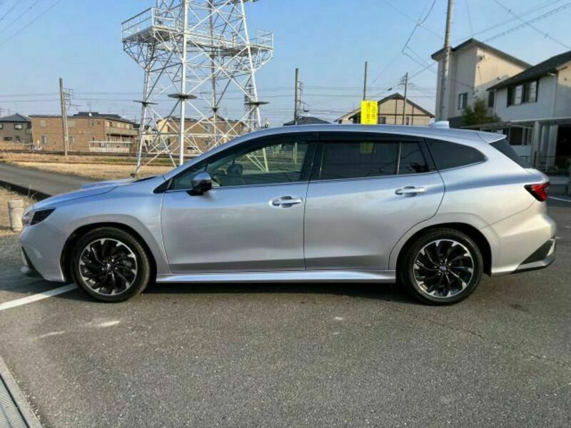 LEVORG