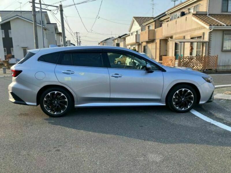 LEVORG