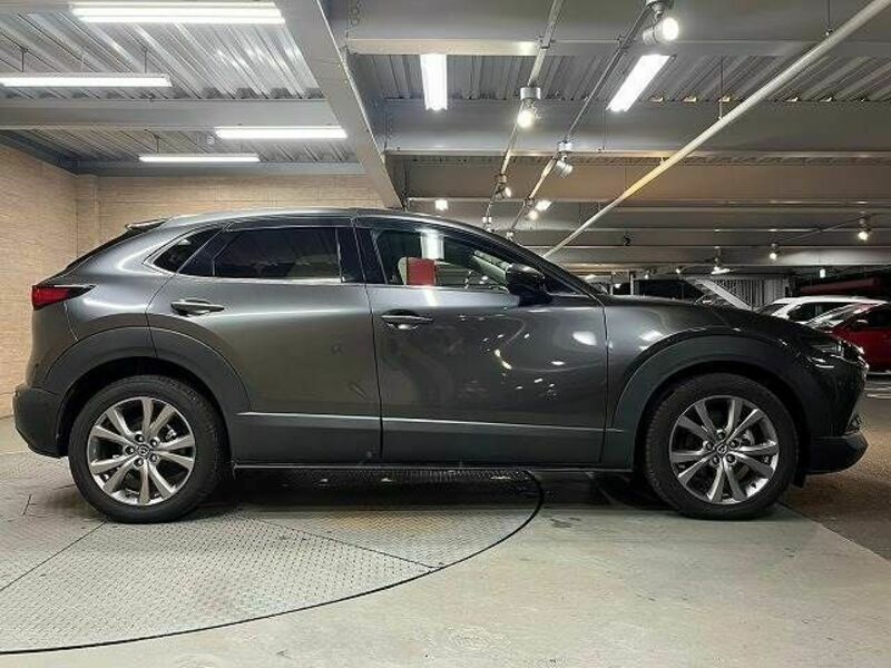 CX-30