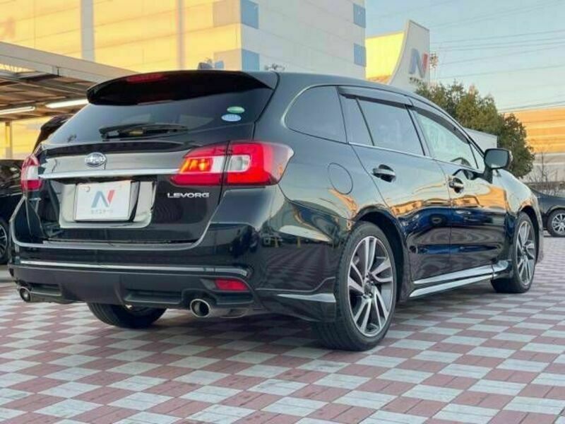 LEVORG