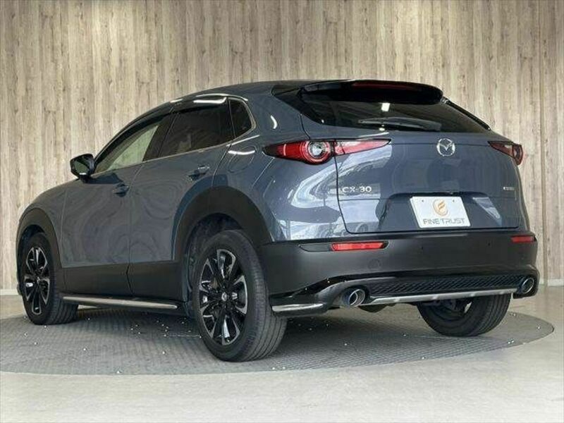 CX-30