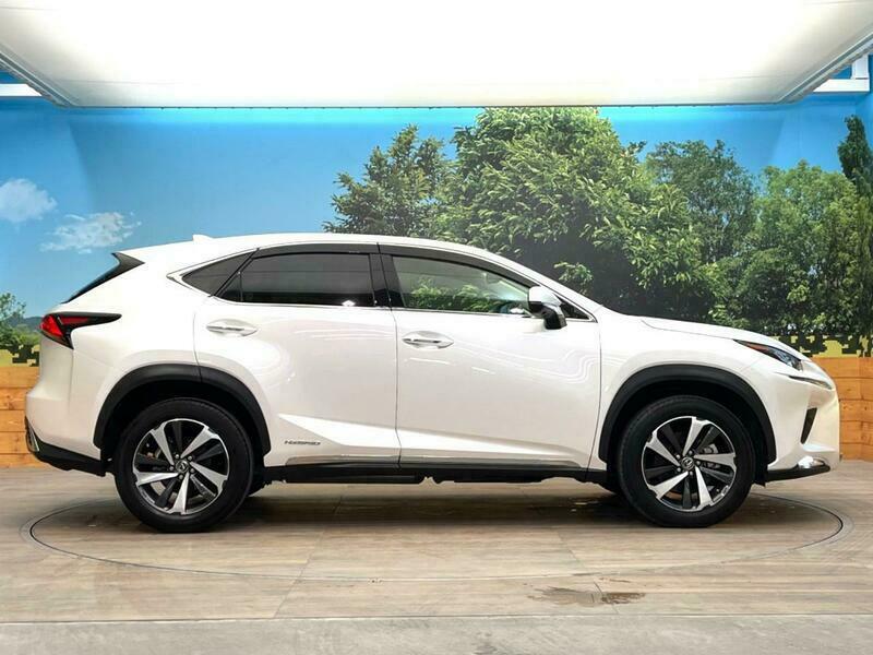 NX
