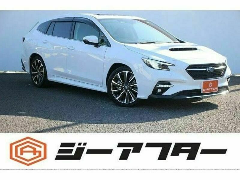 LEVORG-0