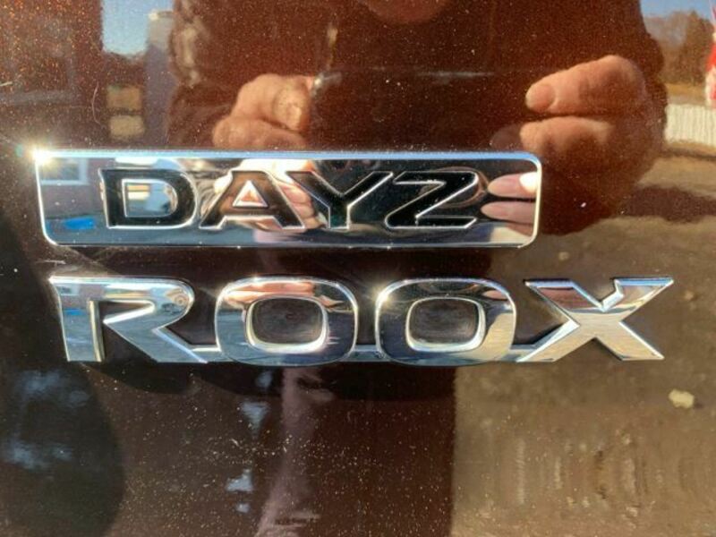 DAYZ ROOX