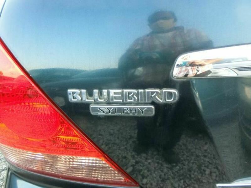 BLUEBIRD SYLPHY