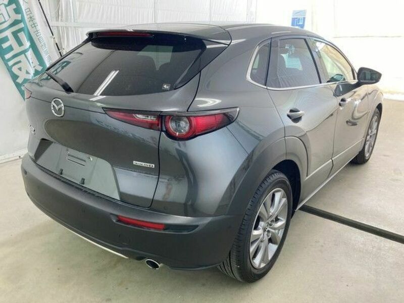 CX-30